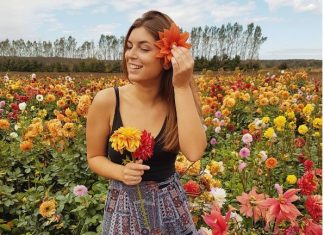 Fall Farms To Visit This Season In Ontario